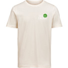 color:birch